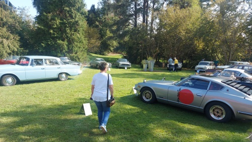 Auto d'epoca Museo Fisogni