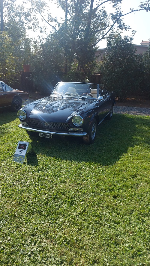 Auto d'epoca Museo Fisogni
