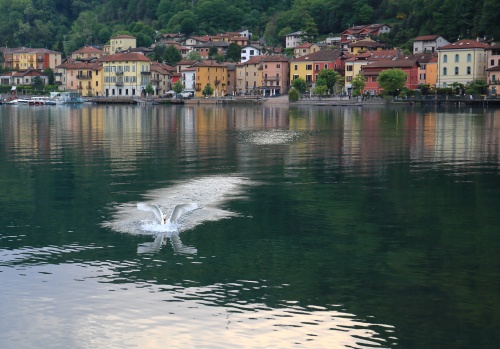 Porto Ceresio