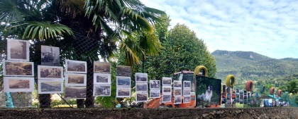 festa delle contrade